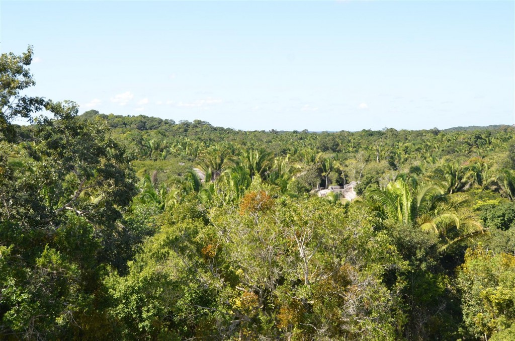 View in Mexico