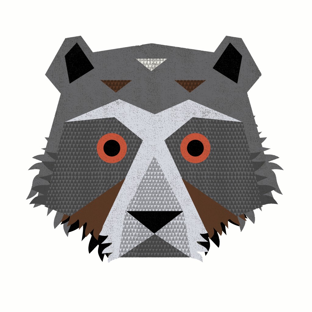 FL15_Tierra-OB-FoxHead