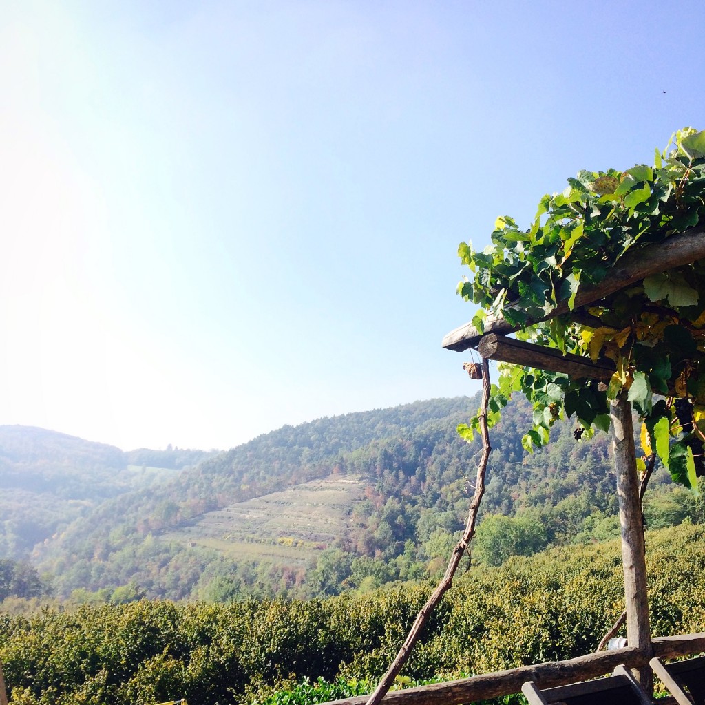 View from the villa 
