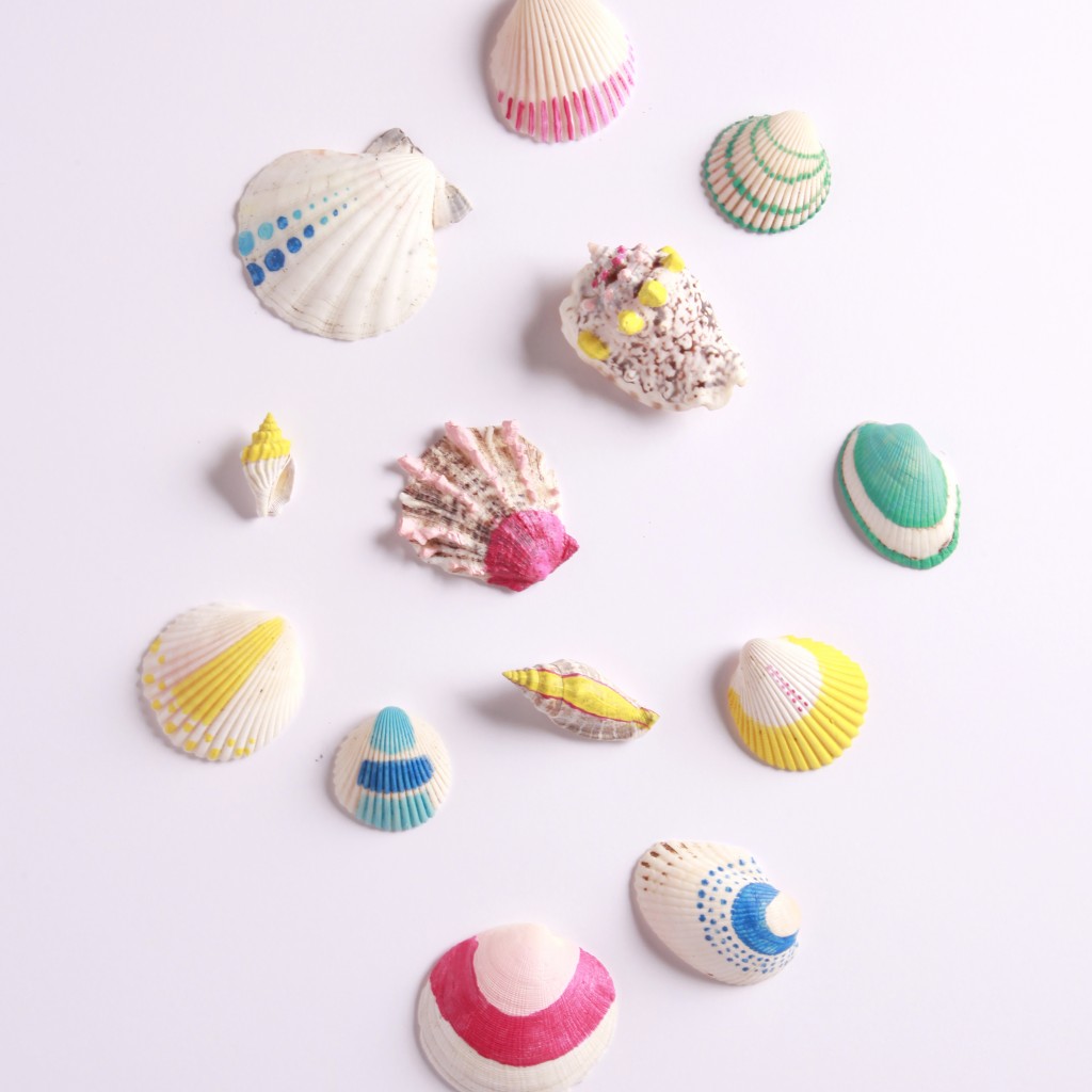 painted shells