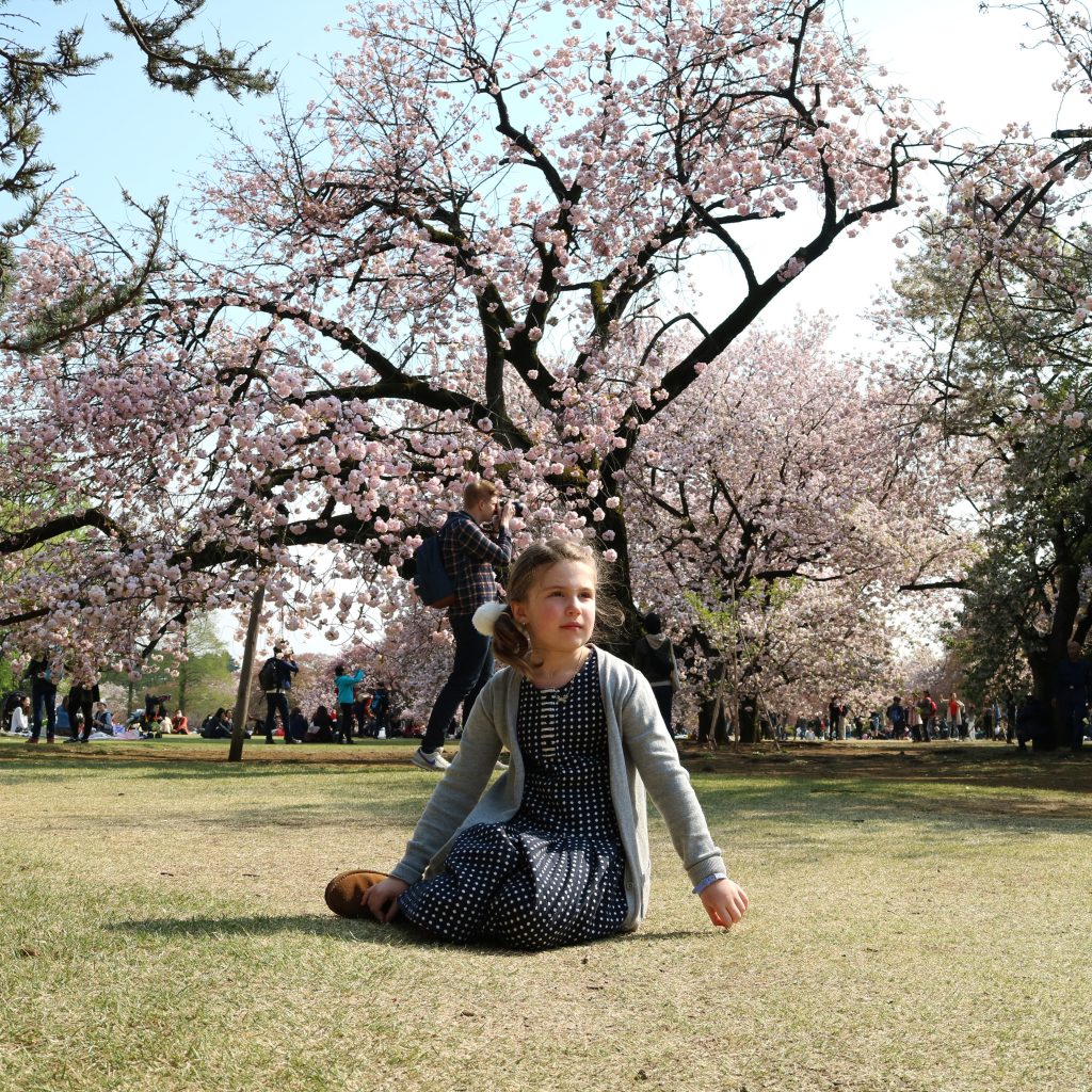 Shinjuku IMG_4165