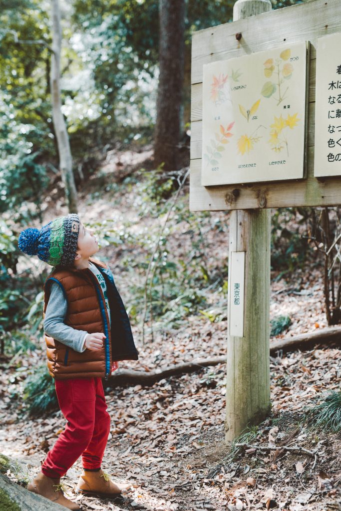 Mount Takao