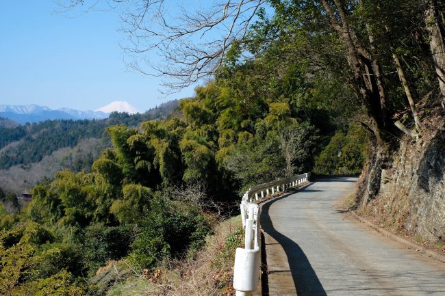 Grace in Japan