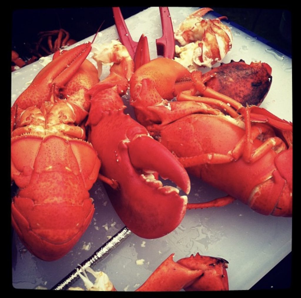 Share Your City Coastal Adventures in Camden, Maine